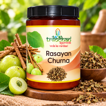 Rasayan Churna | Guduchi, Gokhru & Amla, Herbal Churna | Ayurvedic Rasayan Formula | 500 GM